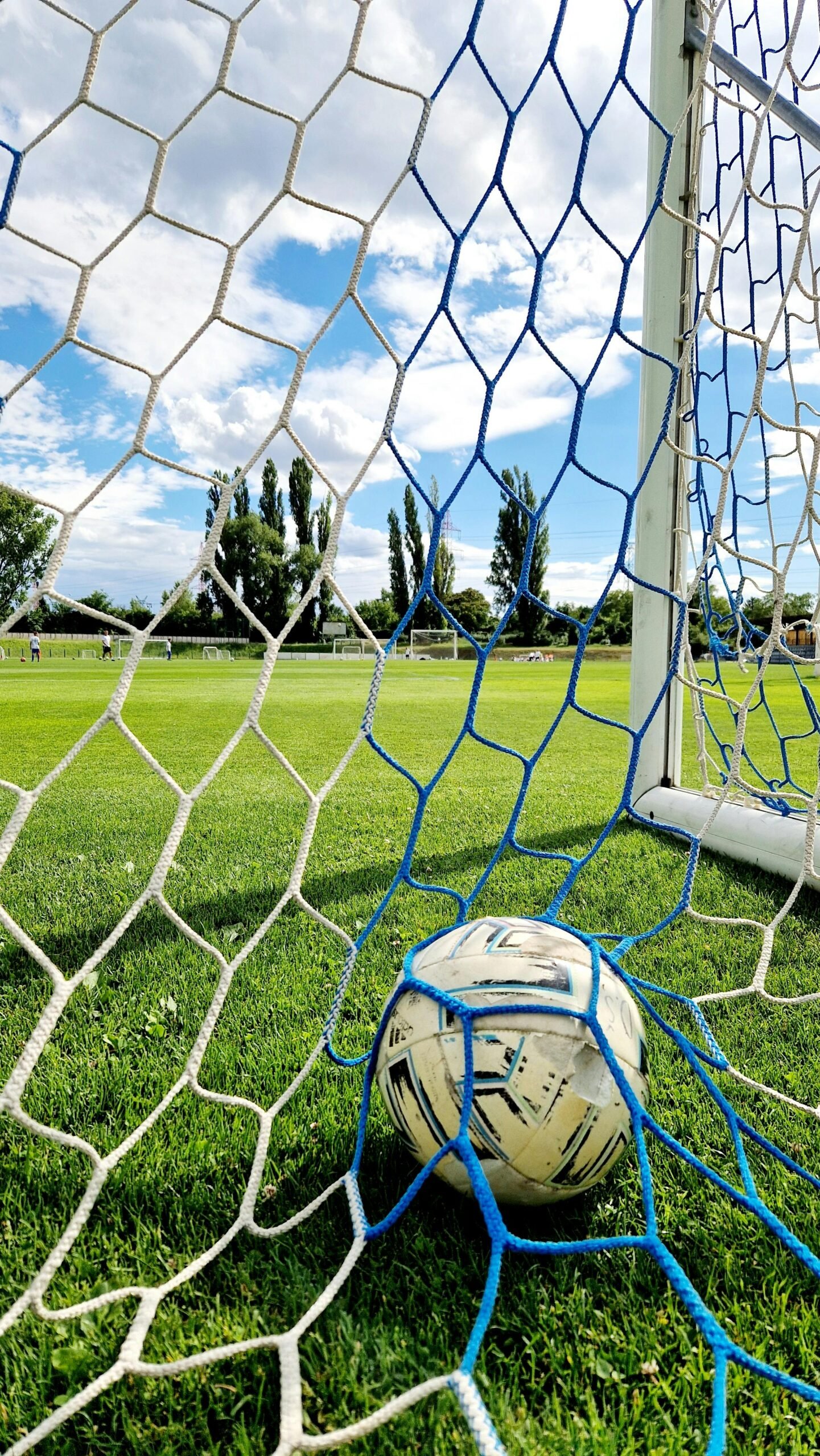 Football resting inside a goal net on a green field