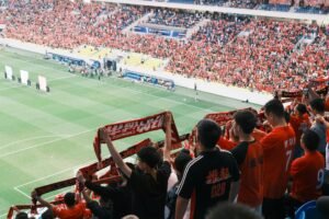 Fans watching a soccer match from the stands